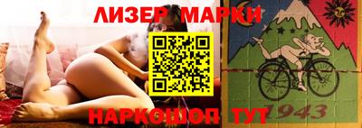 индика Камышлов